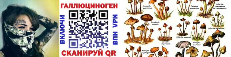 Галлюциногенные грибы ЛСД  где купить наркотик  Ковдор 